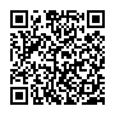 QR code for IFO491