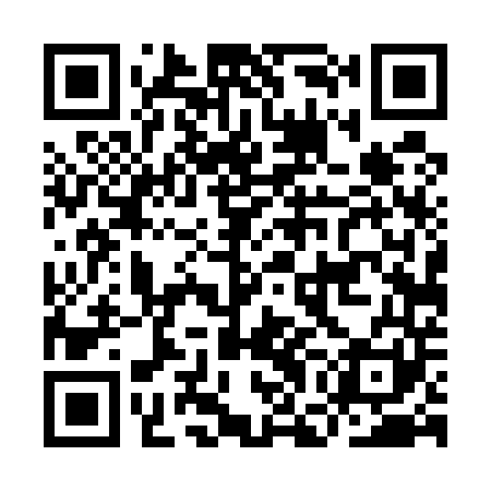 QR code for IGD541