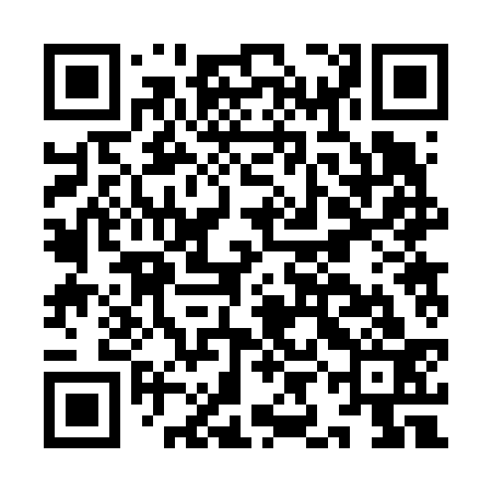 QR code for IIB633