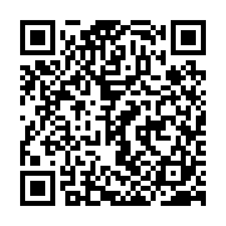 QR code for IIC223