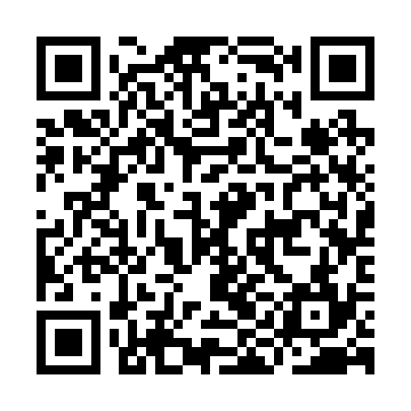 QR code for IIC234