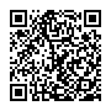 QR code for IIC338