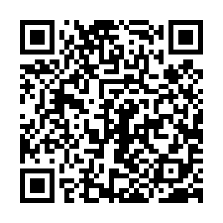 QR code for IID498