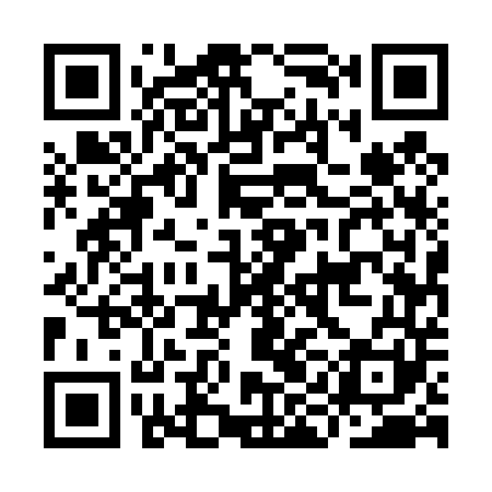 QR code for IIE441