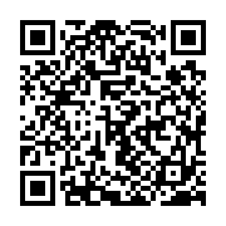 QR code for IIJ733