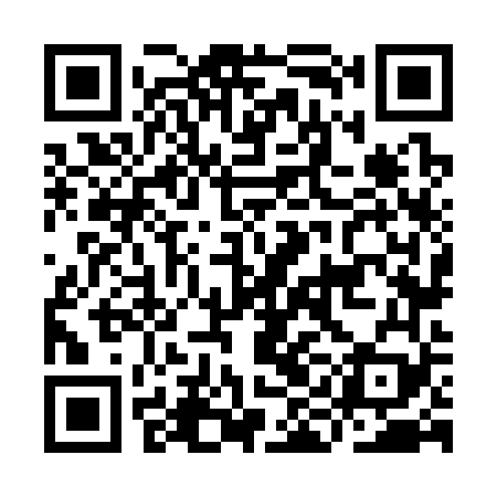 QR code for IIN369
