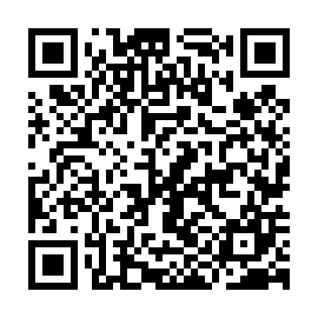 QR code for IIN407