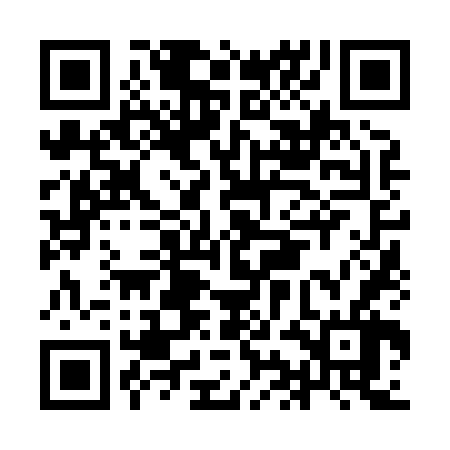 QR code for IIN866
