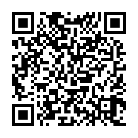 QR code for IIN909