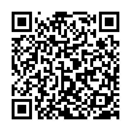 QR code for IIR369