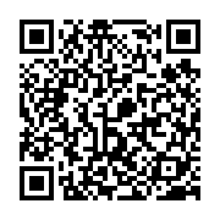 QR code for IIU669