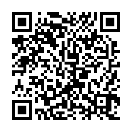 QR code for IIZ202