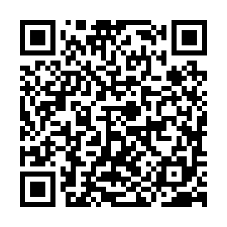 QR code for IIZ295