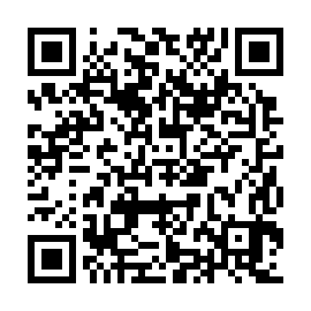 QR code for IJB383