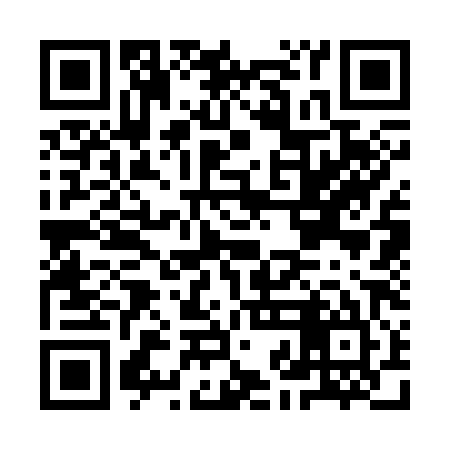 QR code for IJC385