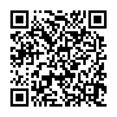 QR code for IJD384