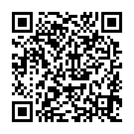 QR code for IJN391