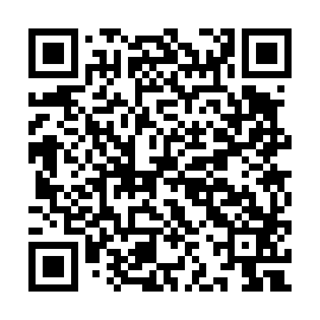 QR code for IJS483