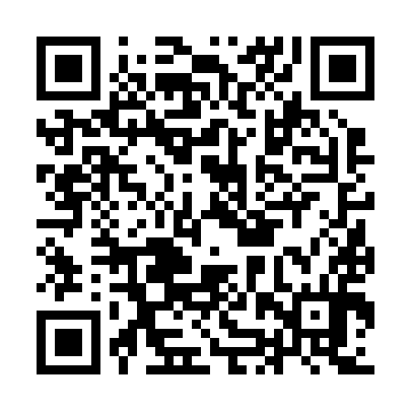 QR code for IJV294