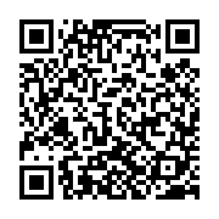 QR code for IJV449