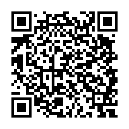 QR code for IJV480