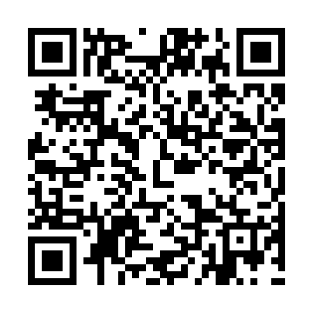 QR code for ILO225