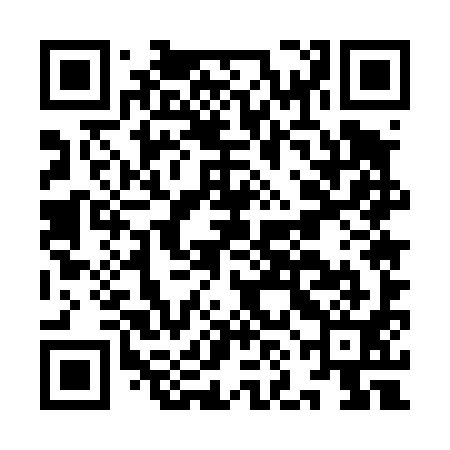 QR code for INE491