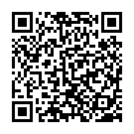 QR code for INJ219