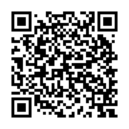 QR code for IPU296