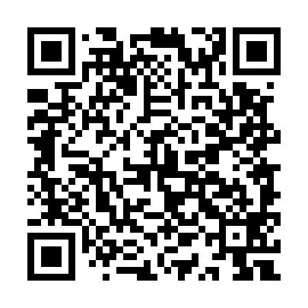 QR code for IQD599