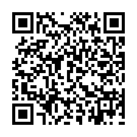 QR code for IRY393