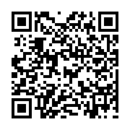 QR code for IWF313