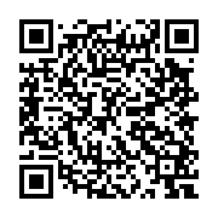 QR code for IZM040