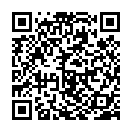 QR code for JIE439