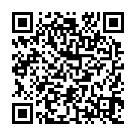QR code for JOJ311