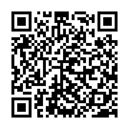 QR code for JST228