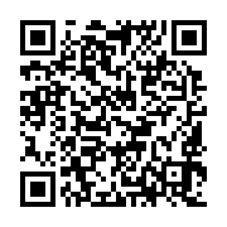 QR code for KLM393