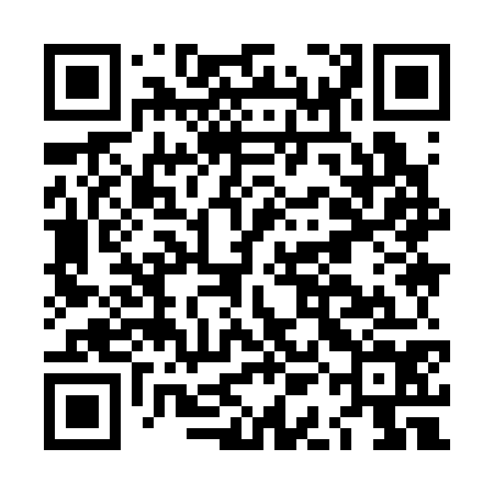 QR code for LAI374