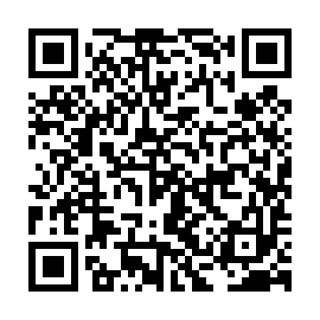 QR code for LCY493