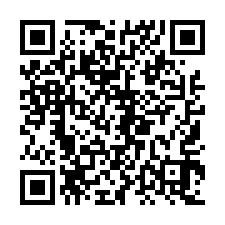 QR code for LDI413