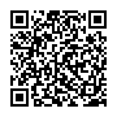 QR code for LDK313