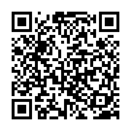 QR code for LDK869