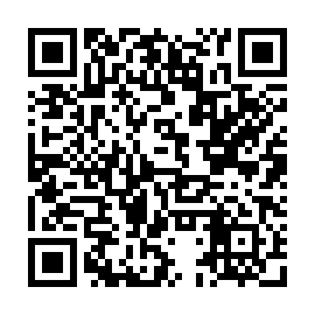QR code for LDR381