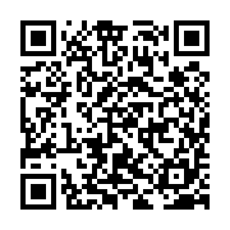 QR code for LDY595