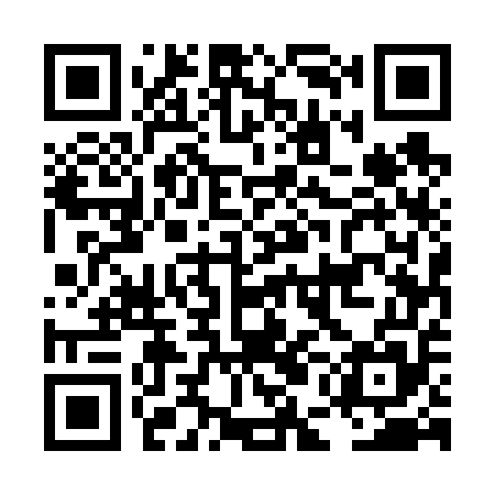 QR code for LEE655
