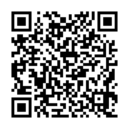 QR code for LEI575