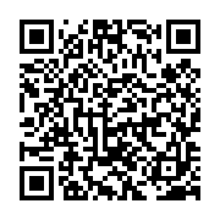 QR code for LEO493