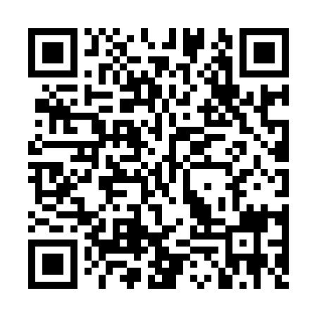 QR code for LEZ919
