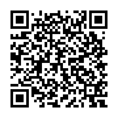 QR code for LGU311