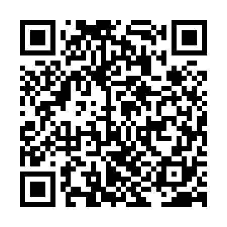 QR code for LIE870